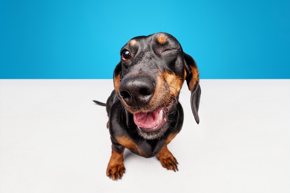 Post 5: Post Title Goes Here